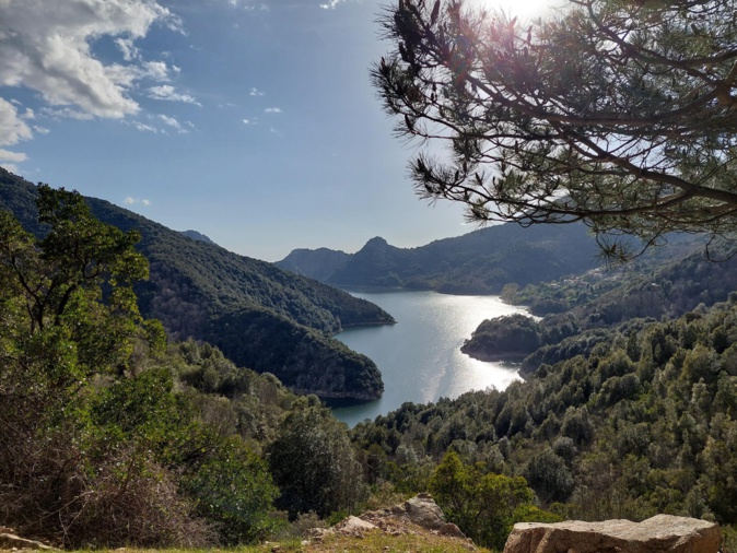 Todda (Françoise Geronimi) Todda (Françoise Geronimi)
