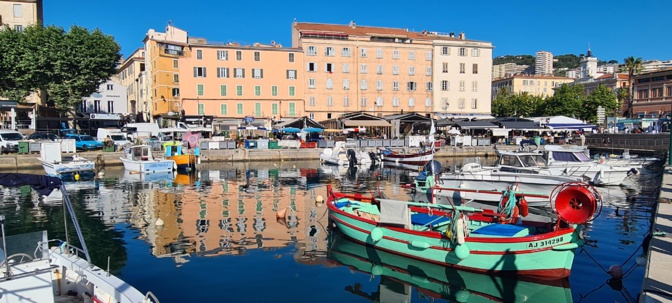 La photo du jour : Aiacciu bellu La photo du jour : Aiacciu bellu