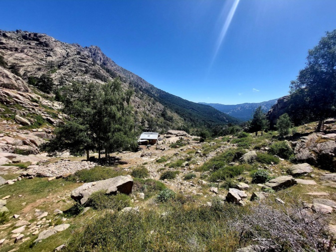 U cagile di Radule (Françoise Geronimi) U cagile di Radule (Françoise Geronimi)