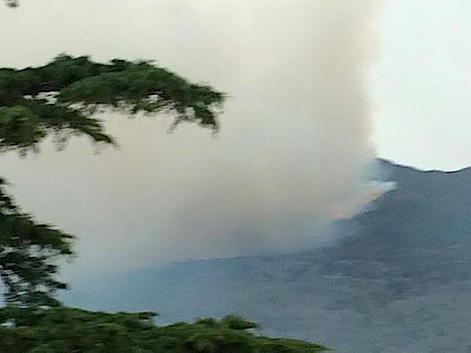 Furiani : 25 hectares détruits par un violent incendie