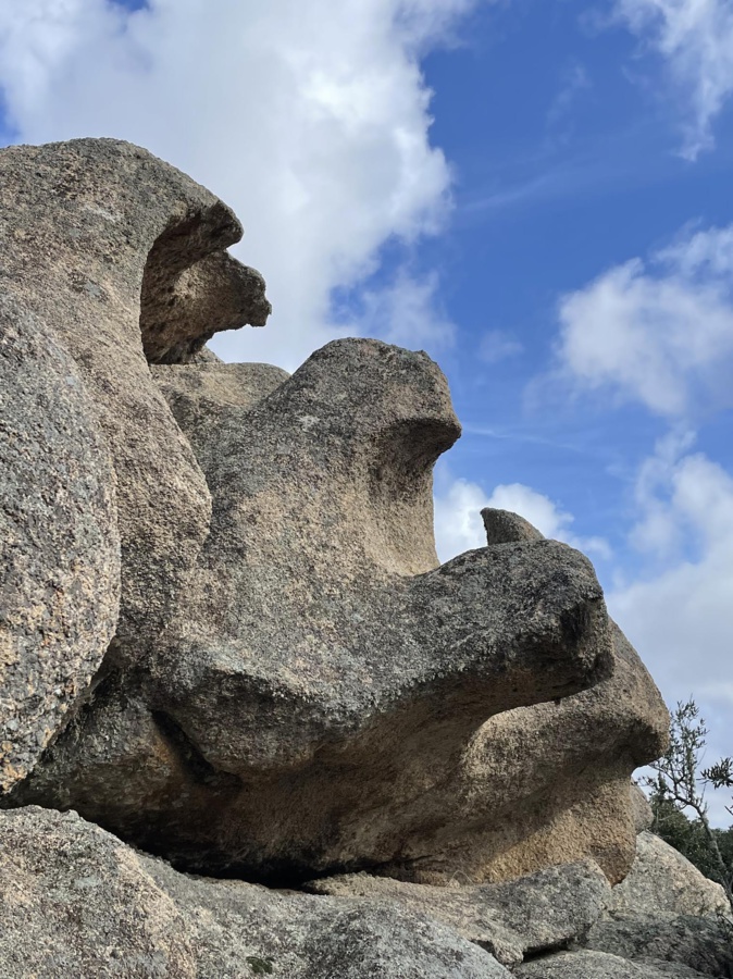 La photo du jour : les paréidolies de Figari La photo du jour : les paréidolies de Figari