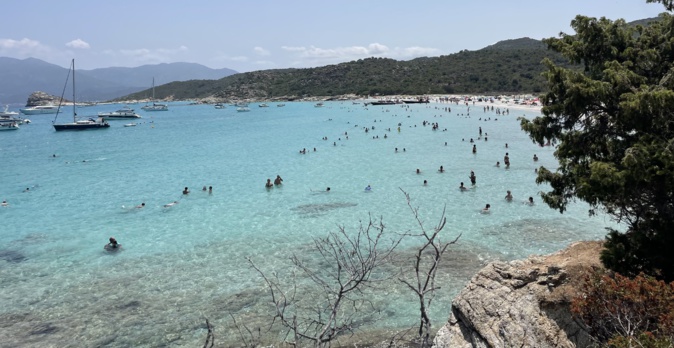 Gestion des sites naturels sensibles : L’accès à la plage de Saleccia réaménagé pour réguler les flux