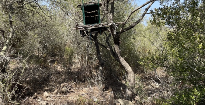 Un piège dans l'Agriate. Photo CNI. Un piège dans l'Agriate. Photo CNI.