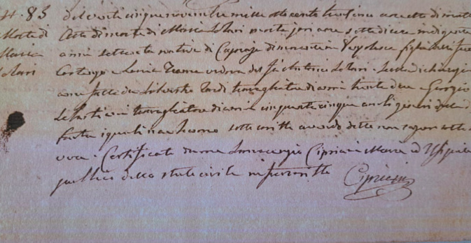 Crédit photo page Facebook Corsica Genealugia Crédit photo page Facebook Corsica Genealugia