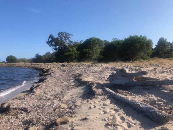 La photo du jour : la nature préservée de Chiola La photo du jour : la nature préservée de Chiola