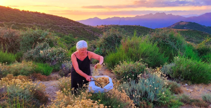 Photo illustration Photo illustration