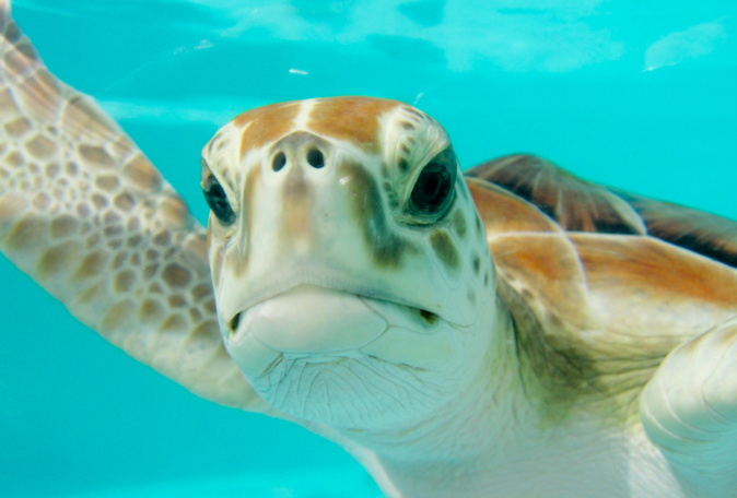 Photo d'illustration Photo d'illustration