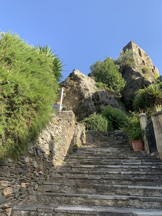 Sur les hauteurs du village, les ruines du château des Seigneurs de Brando.