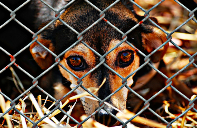 Photo d'illustration Canva Photo d'illustration Canva