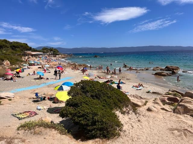 La température de l'eau était de 22 degrés à la plage du Week-end à Ajaccio (Photo Patrice Paquier)
