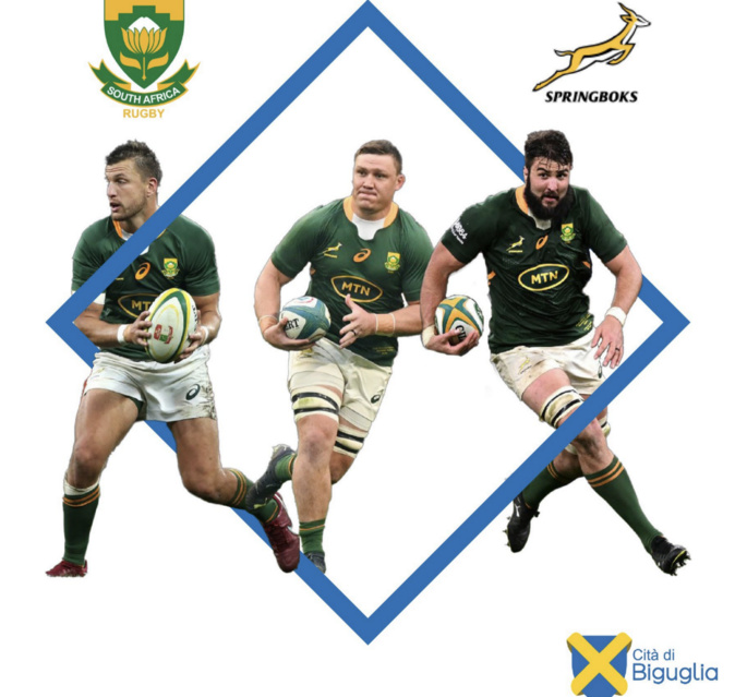 Springboks : les champions du monde de rugby en Corse avant le prochain Mondial Springboks : les champions du monde de rugby en Corse avant le prochain Mondial