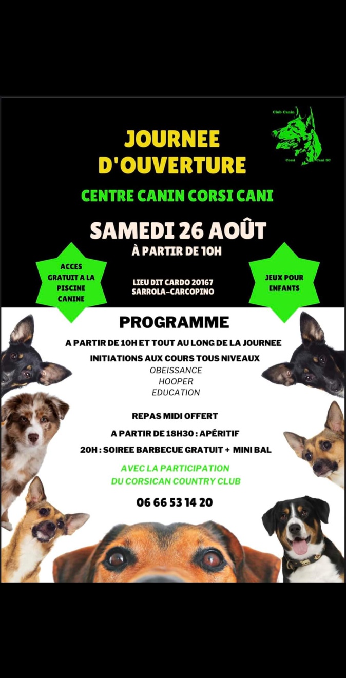 Une première en Corse : une piscine pour chiens a ouvert à Sarrola Une première en Corse : une piscine pour chiens a ouvert à Sarrola