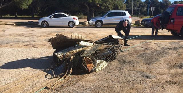 Pietrosella soigne son image...  Et son rivage !