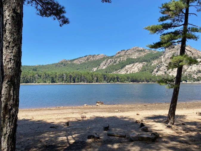 L'Ospedale (Denis Viviani) L'Ospedale (Denis Viviani)