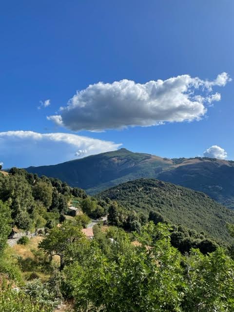 Marie-Noëlle di Rusiu Marie-Noëlle di Rusiu