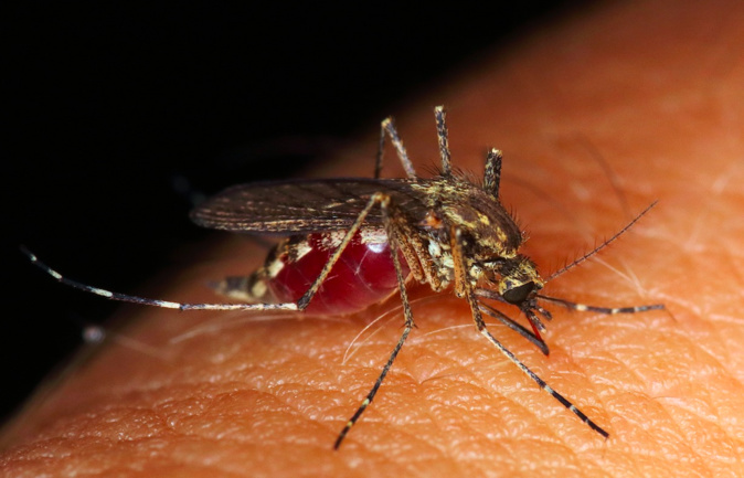 Photo d'illustration Photo d'illustration