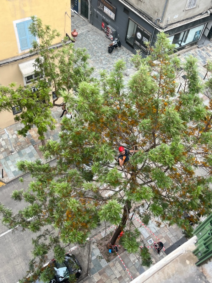 Emanuele Barbieri lors de l’installation des capteurs au printemps. Emanuele Barbieri lors de l’installation des capteurs au printemps.