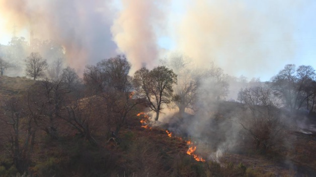 Les flammes sur le sentier San Michele Les flammes sur le sentier San Michele