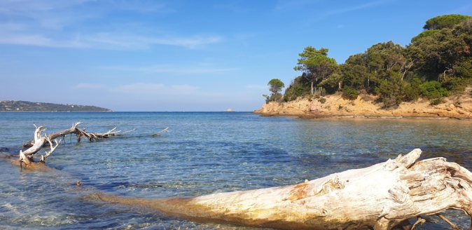 Pinarello (Lionel Santoni)