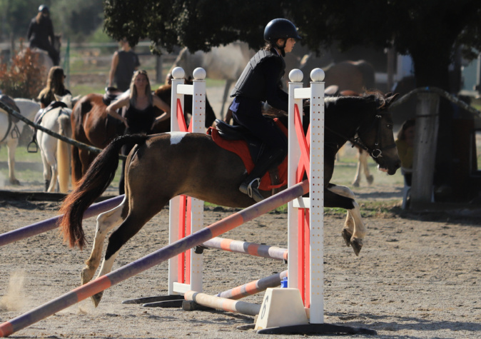 EN IMAGES - Sauts d’obstacles : 95 jeunes cavaliers en compétition à Corte EN IMAGES - Sauts d’obstacles : 95 jeunes cavaliers en compétition à Corte