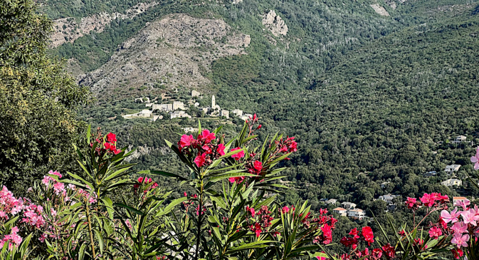 U Mandriale (@cni) U Mandriale (@cni)