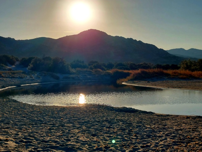 Ostriconi (Françoise Geronimi)