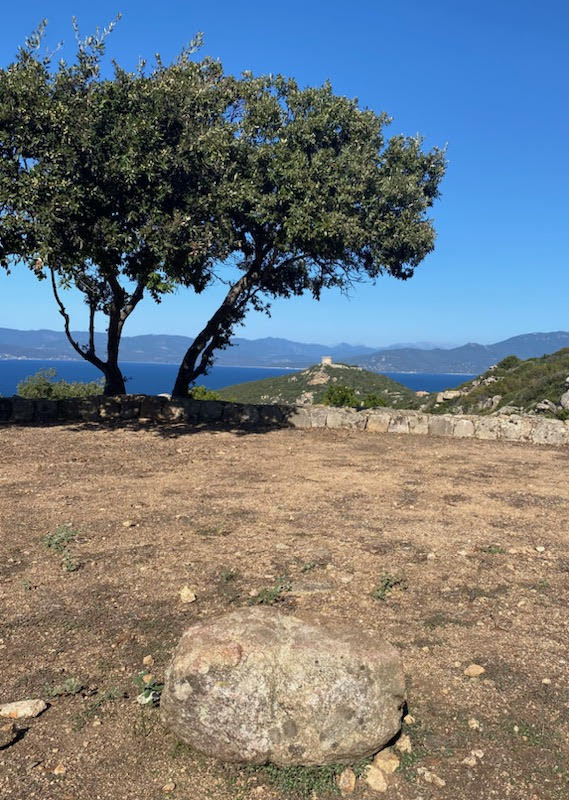 La photo du jour : bella passighjata fina Senetosa