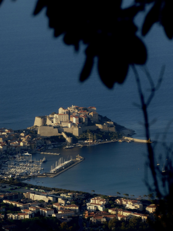 La photo du jour : la Citadelle de Calvi vue d'en haut La photo du jour : la Citadelle de Calvi vue d'en haut