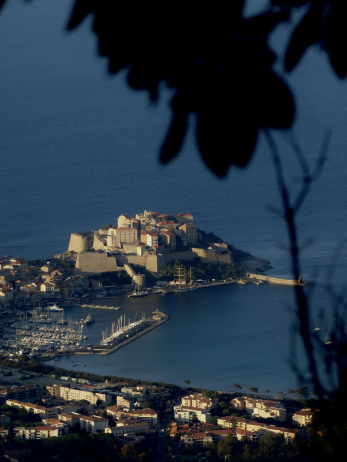 La photo du jour : la Citadelle de Calvi vue d'en haut