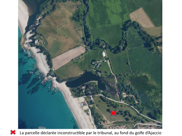 Une colonie de guêpiers d’Europe sauvée par les associations à Porticcio