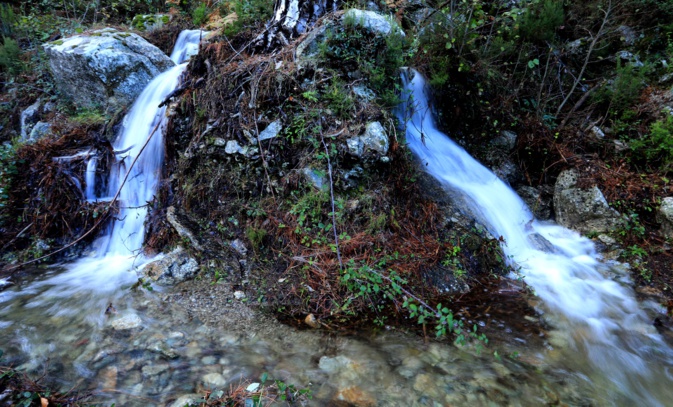 Corte : « Les autorités ont pris la mesure de la catastrophe » Corte : « Les autorités ont pris la mesure de la catastrophe »