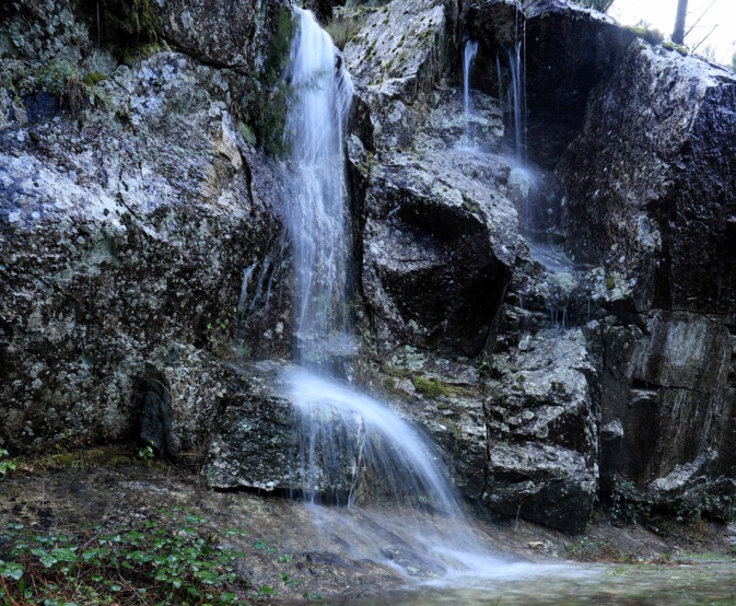 Corte : « Les autorités ont pris la mesure de la catastrophe » Corte : « Les autorités ont pris la mesure de la catastrophe »