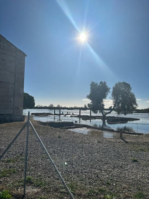 A Lucciana le Golu a débordé : la Canonica et le site antique de Mariani noyés ! (Facebook Louis Luciani)