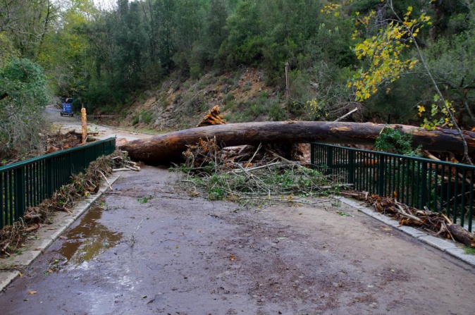 EN IMAGES - Après le passage de Domingos en Corse EN IMAGES - Après le passage de Domingos en Corse