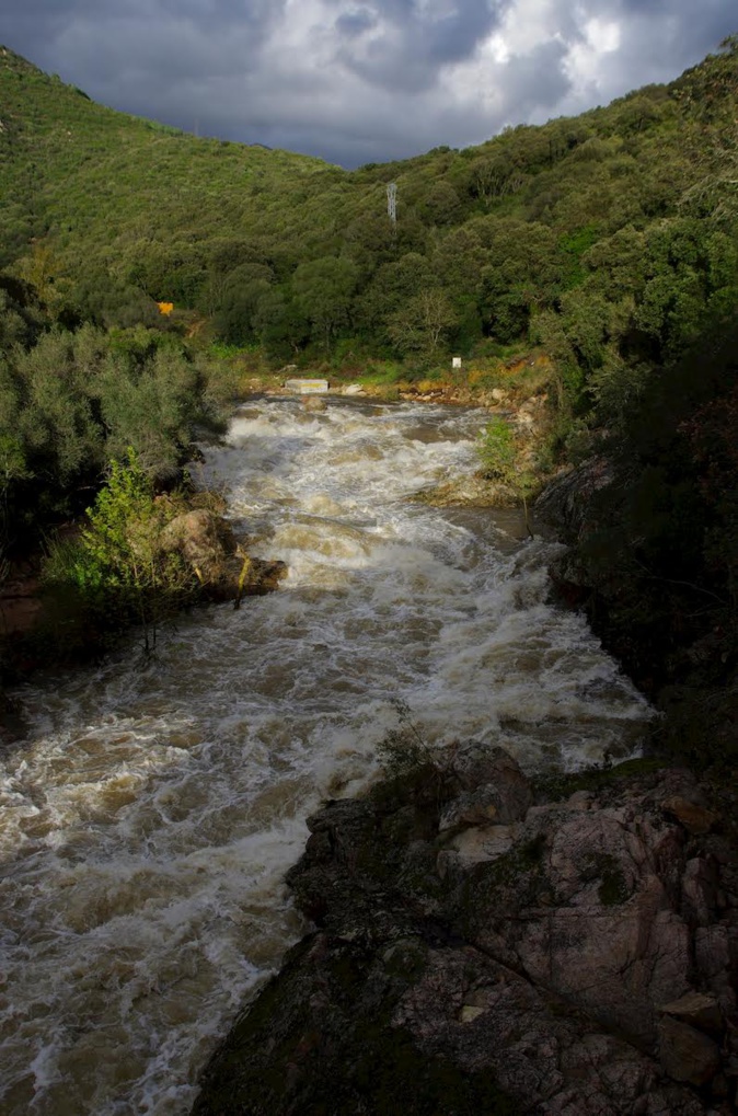 EN IMAGES - Après le passage de Domingos en Corse EN IMAGES - Après le passage de Domingos en Corse