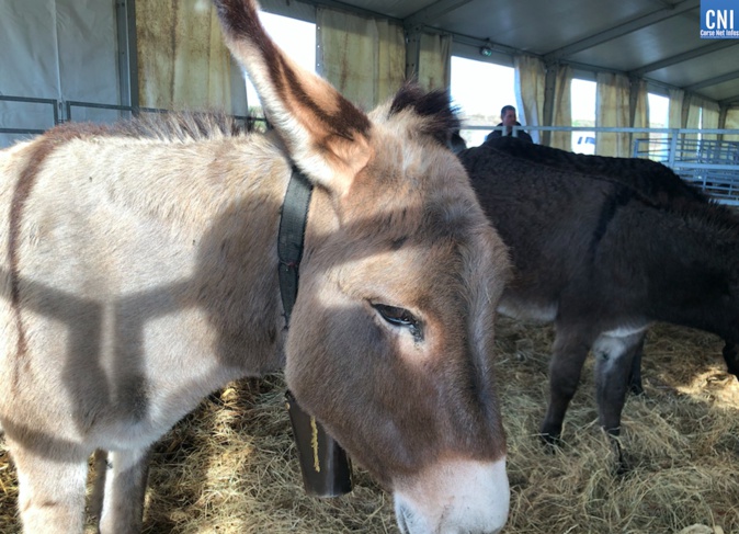 Photo illustration. EditIon 2022 Photo illustration. EditIon 2022