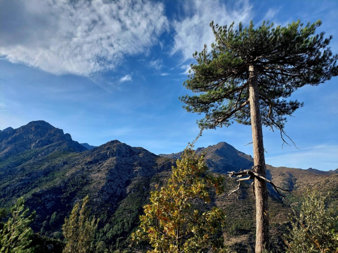 San Parteu in Ghjunsani (Françoise Geronimi)