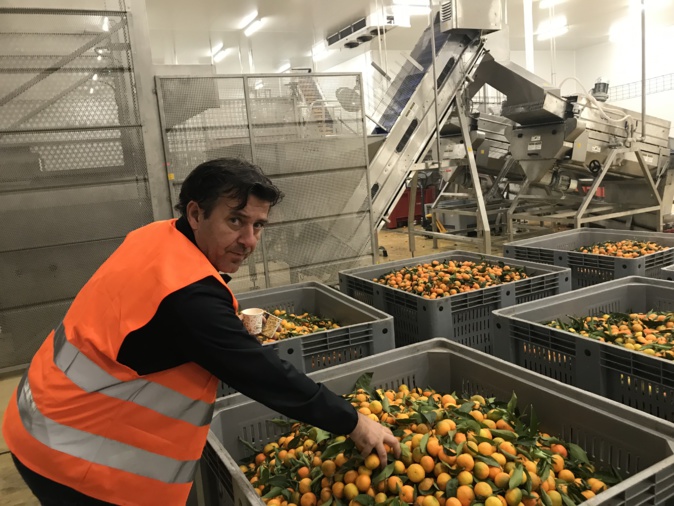 David Casoni est le directeur de Fruticor, l'usine de laquelle vont ensuite sortir les clémentines commercialisées par Corsica Comptoir. En arrière-plan, l'extracteur à jus.
