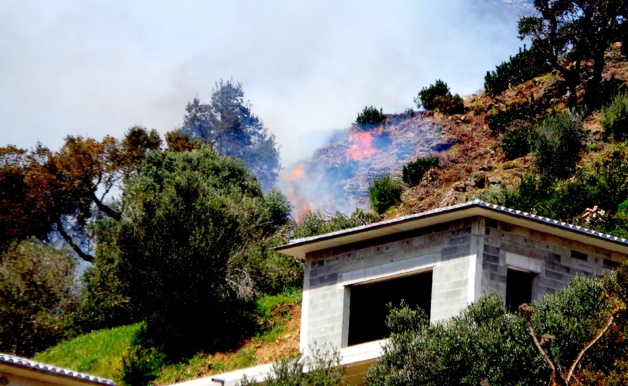 Début d'incendie sur les hauteurs de Miomo Début d'incendie sur les hauteurs de Miomo