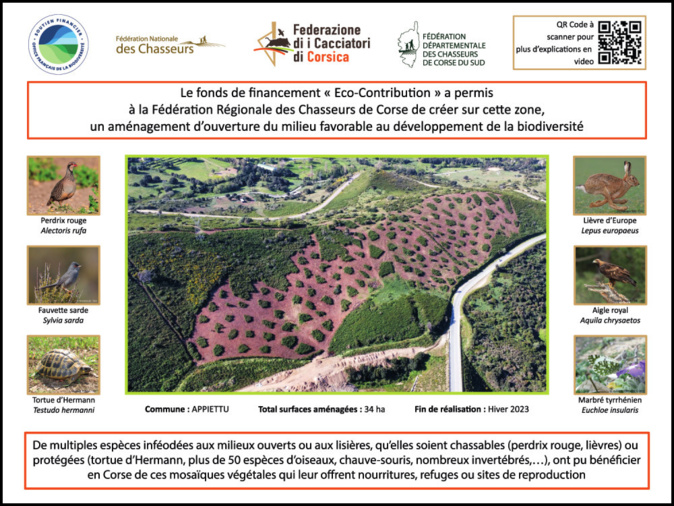 Le travail d’ouverture du milieu des chasseurs s’amplifie en Corse