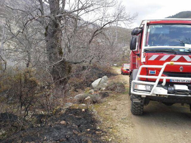 Soccia : 1 ha de châtaigniers réduit en cendres Soccia : 1 ha de châtaigniers réduit en cendres