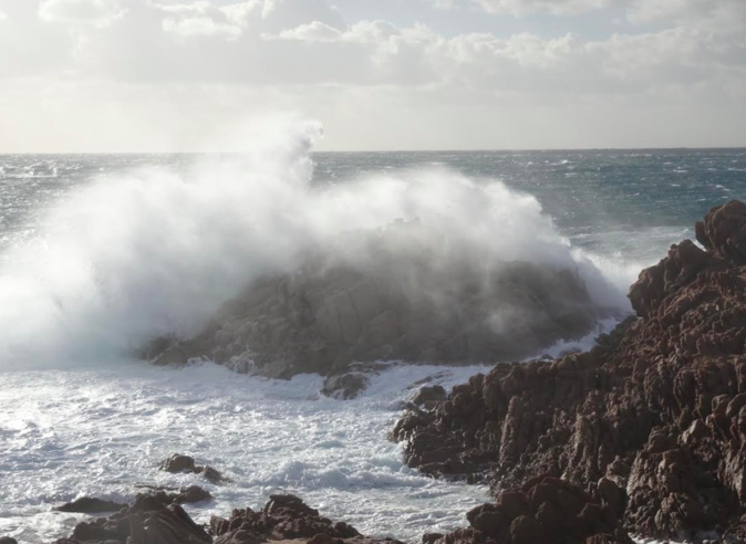 Crédit photo Regis Doucet Crédit photo Regis Doucet