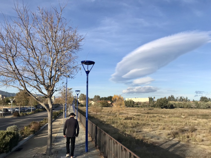 La municipalité espère aménager un éco-parc dans ce champ, situé le long de l'avenue de Borgo. La municipalité espère aménager un éco-parc dans ce champ, situé le long de l'avenue de Borgo.