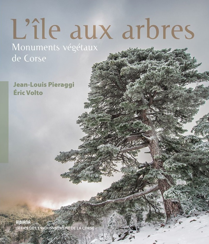 "L’île aux arbres" : Un ouvrage qui célèbre les monuments végétaux de Corse "L’île aux arbres" : Un ouvrage qui célèbre les monuments végétaux de Corse