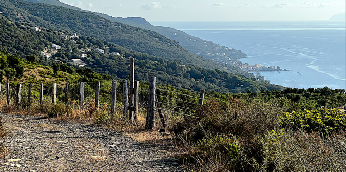 La photo du jour : sur les sentiers du Cap Corse
