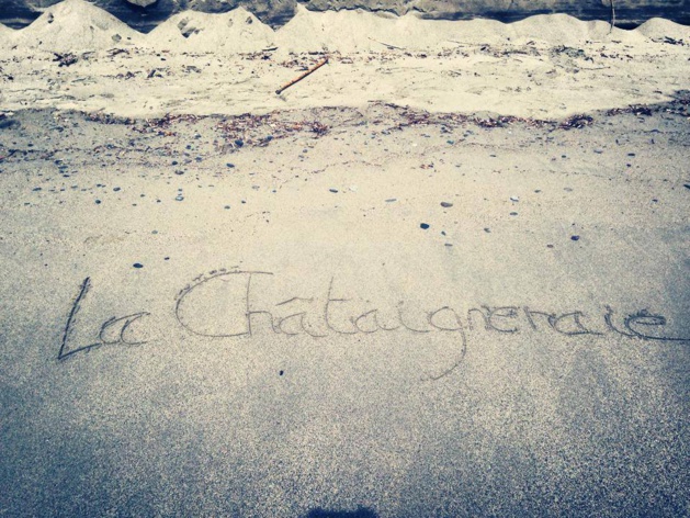 Ponte Novu : La Châtaigneraie, valorise le travail des personnes handicapées