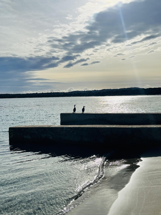 Sur la plage de Pinarellu (Julie Charpentier)