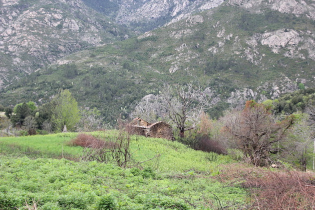 La commune de Bocognano a récemment été touchée par un incendie dû à un écobuage mal maitrisé