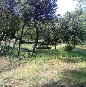 Tendance Gamping : Accueillez des campeurs chez vous ! Tendance Gamping : Accueillez des campeurs chez vous !