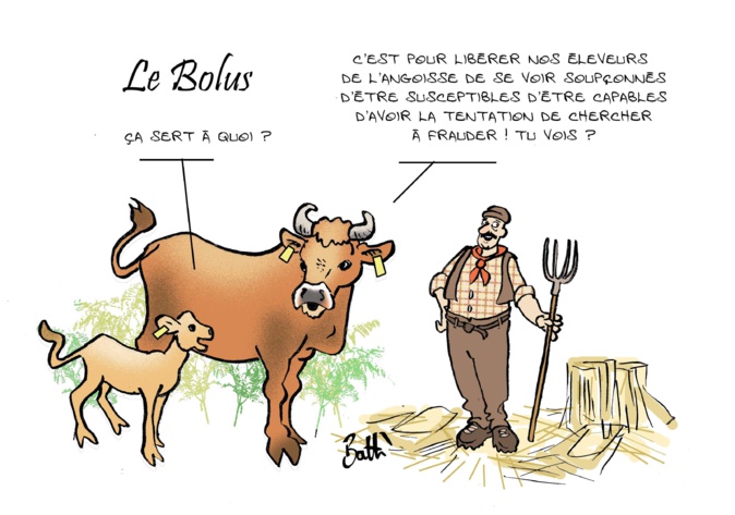 Le dessin de Battì : "Le bolus, c'est quoi ?" Le dessin de Battì : "Le bolus, c'est quoi ?"